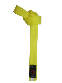 Load image into Gallery viewer, Toushi K4 Belt
